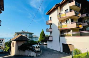 F2 près débarcadère, en centre ville, des thermes EVIAN LES BAINS 2 étoiles - Foto 31