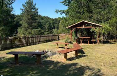 Dom Na Szlaku Mazury - Photo 58