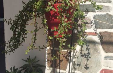 Nina Holidays - Foto 13