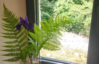 Le Secret du Moulin, agréable tiny house Villefort - Foto 16