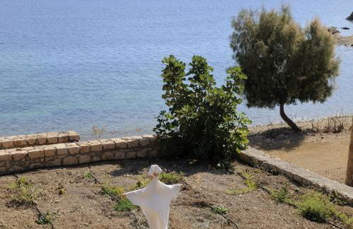 Onar Patmos - Foto 84