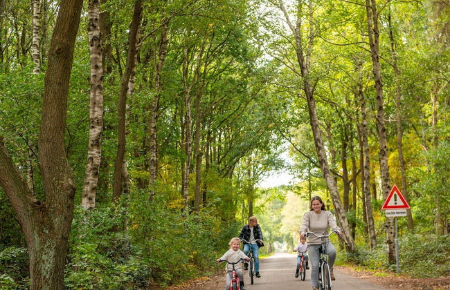 Modern Chalet Near Three National Parks - Photo 12