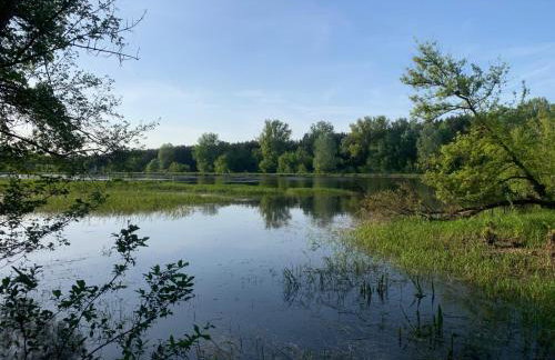 Dom z linią brzegową Narwi 2 - Photo 19