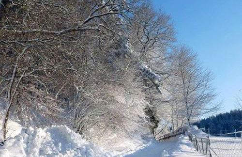 Ferienwohnung Pension Hauer Hof - Foto 19