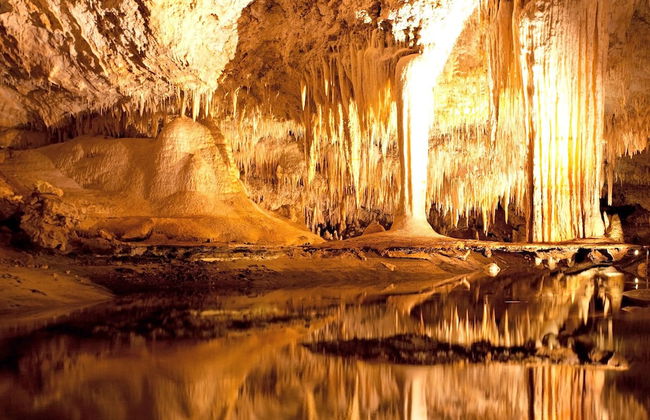 Peppermint Brook Cottages - Foto 21