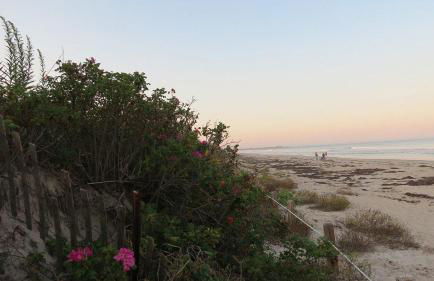 Footbridge Escape - Foto 7