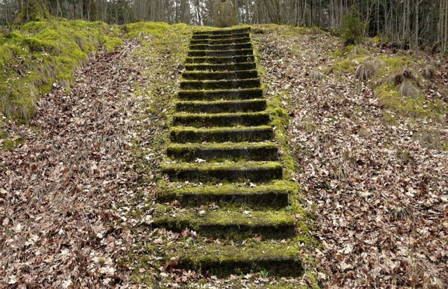 4 Person Holiday Home in Skaerbaek - Foto 13