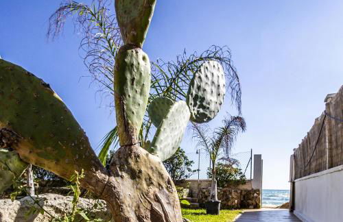 Villa Ammari - Foto 1