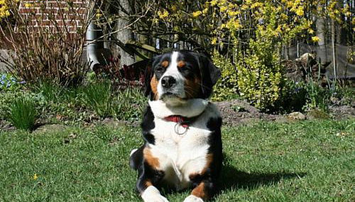 Ferienhof Wroge - Foto 3