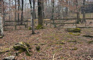 Beech Mountain Walk to Slopes Sleeps 9 Pet Friendly - Foto 70