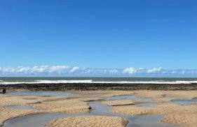 Apartamento Pé na Areia - Ótima Localização - Conforto à beira-mar - Foto 8