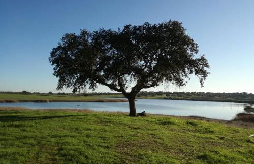 Monte da Figueira - Foto 35