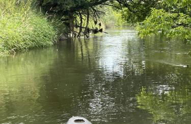 Appartment Schafstall - am Unstrutradweg - Foto 37