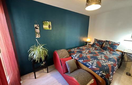 Meublé Les Dômes du Parc 6ème - Foto 3