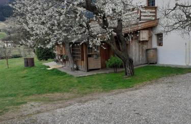 Maso Pinterato - Foto 17