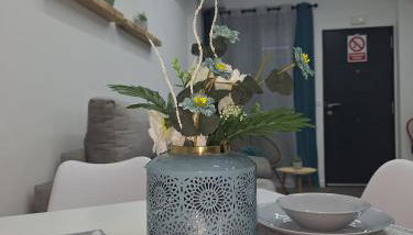 Alba Home , junto al estadio fútbol y Ribera - Foto 1