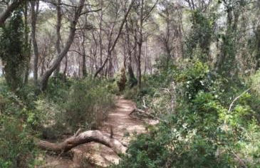 Apartamentos Cala Azul La Móra - Foto 13