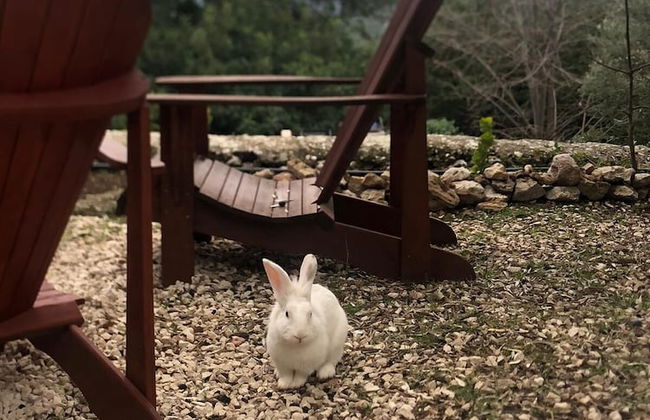 Antalya Bodrum Kayası Dağ Oteli - Foto 35
