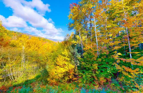 Tuckerman Tollhouse - Foto 30