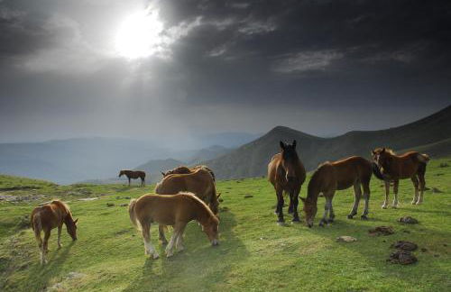 IKUILU Ochagavia-Selva de Irati - Foto 42