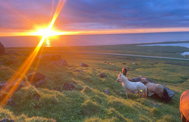 Kirkjufell View Cottages - Foto 14