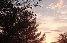 Gamila Sunrise - Photo 17