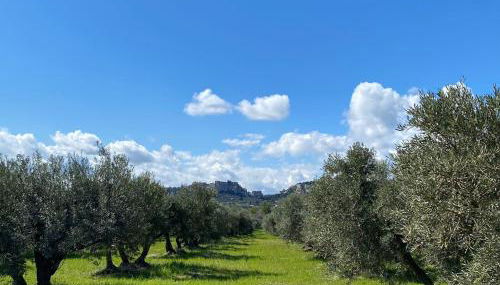 Au pied des Alpilles - Foto 5