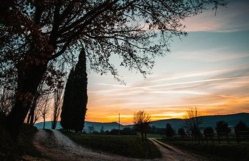 Casa di Campagna in Toscana - Foto 64