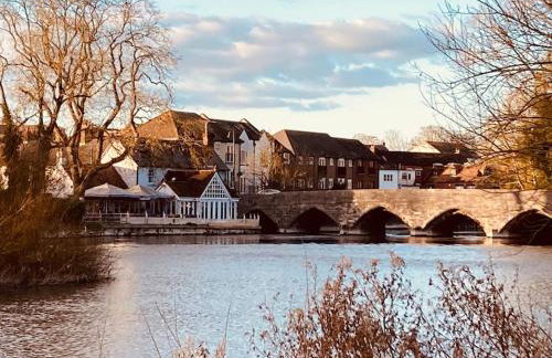 In the heart of the new forest - Foto 11