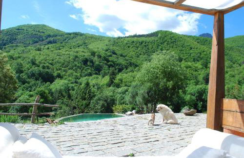 El Solei Paraiso en el Montseny - Foto 28