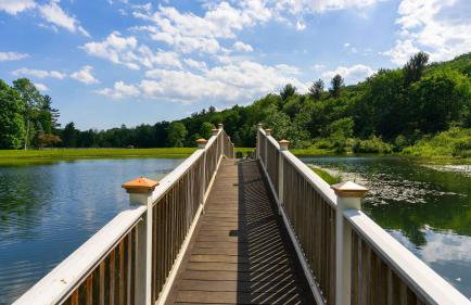 Secluded Estate Optional Guest House, Pond, Playroom, Gym & Theater Sunny Pond by Avantstay - Foto 119