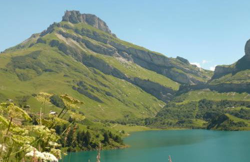 Tour Ramus- appartements - Foto 30