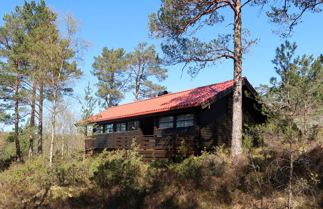 Sandvikfjellet - Foto 21