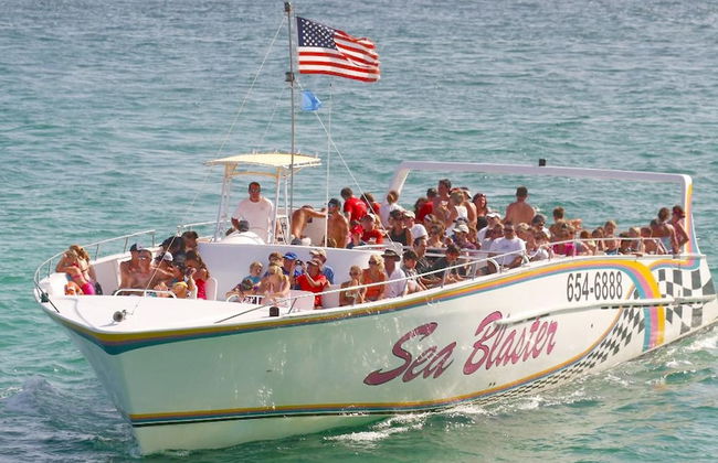 Shell Yeah! - Photo 36