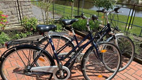 Rosengarten Gerlinde - Foto 2