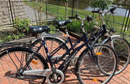 Rosengarten Gerlinde - Foto 2