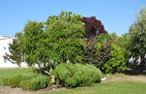 Monte da Boavista - Country family house - Foto 33