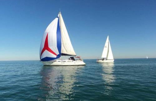 OLIVA HOLIDAYS 1 - Photo 26