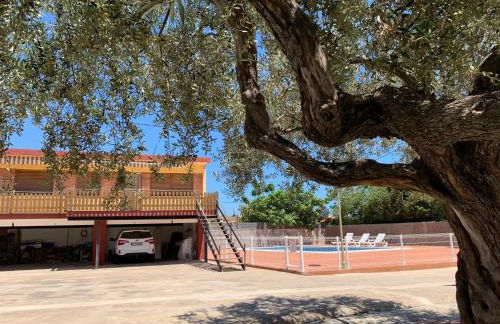 Bungalows Pascual - Foto 11