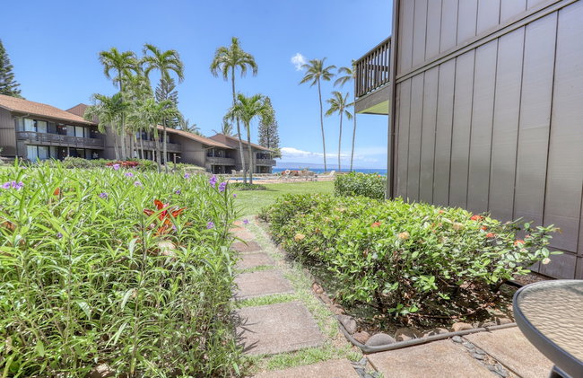 Mahina Surf - Foto 54