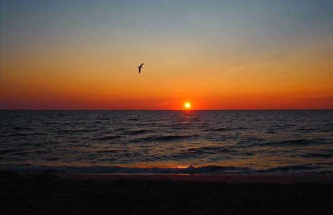 The Breeze Overlooking Minister s Pond - Foto 42