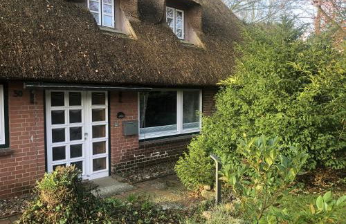 Bücherträume - Foto 18