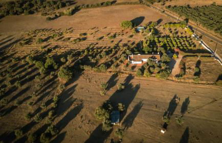 Casa Bungavilia - Roots of Alentejo - Foto 65