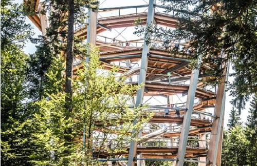 Ferienwohnung am Enzufer mit Wintergarten Bad Wildbad im Schwarzwald - Foto 33