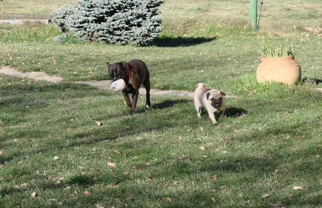 Complex Rural Can Caubet - Photo 43