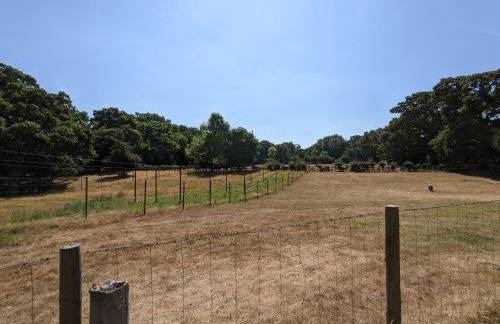 Cabin in the Forest - Foto 10