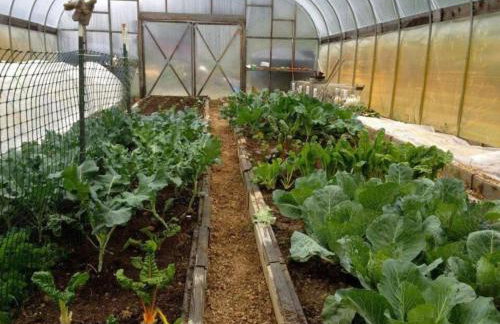 Rustic Lodge Rental on a Farm in Fayette County, West Virginia - Foto 28