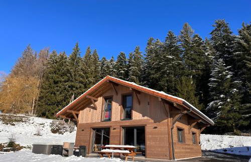 Chalet COCOTTE - pétanque, jacuzzi & baby-foot - Foto 41