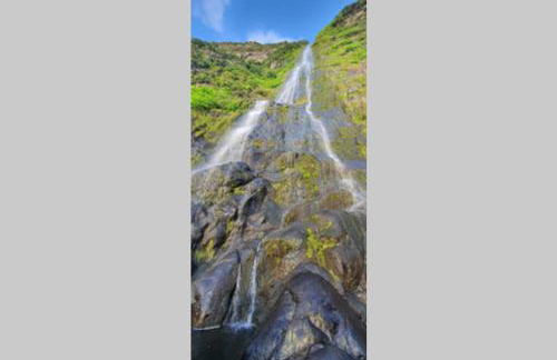 Monchique Islet View House T2 - Foto 19