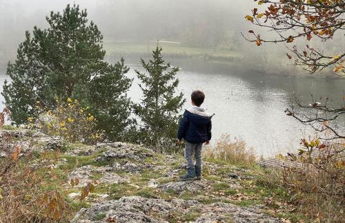 Hohenzollern Wellness Loft mit Panorama Sauna - Foto 44